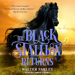 Icon image The Black Stallion Returns