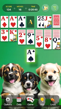 Game screenshot Classic Solitaire : Card Game apk download