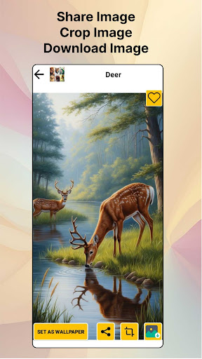 Animal Wallpaper HD  4K Photo