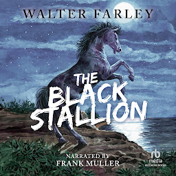 આઇકનની છબી The Black Stallion