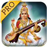 Saraswathi Pooja and Mantra Pro icon