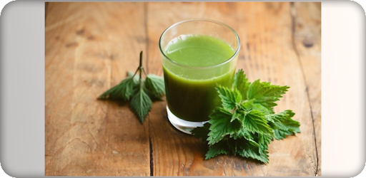 فوائد عشبة القريص Stinging net