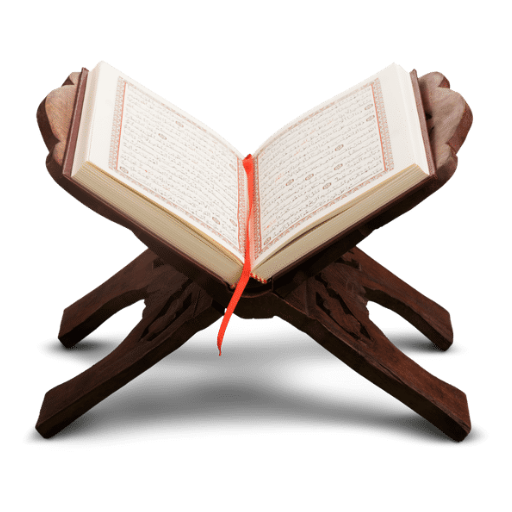 Learn Quran Vocabulary logo