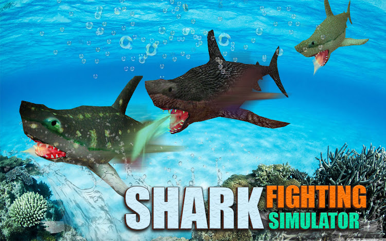 Hungry Shark Fighting Sim 3D - 1.01 - (Android)