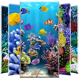Coral Reef Wallpaper icon