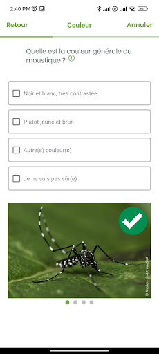 Surveillance Moustiques Screen 3