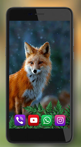 Fox Summer Forest Wallpaper