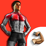 Cover Image of 下载 MuscleMan: Pocket Trainer 1.1.4 APK