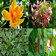 Top 44 Health & Fitness Apps Like Get To Know Medicinal Plants Around Us - Best Alternatives
