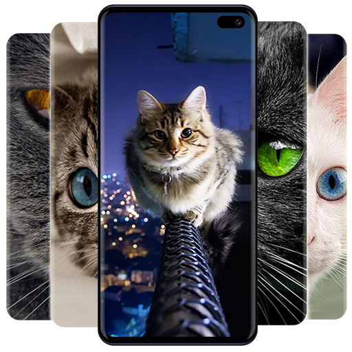 Cute Cats Wallpapers logo