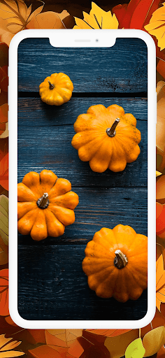 Thanksgiving Day Wallpapers HD Screen 3