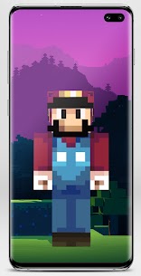 Skin Mario for Minecraft Mod APK 2022 5