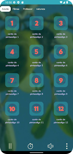 Canto Do Pintassilgo Screen 3