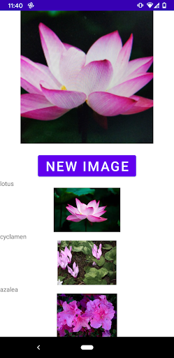 Flower identifier 3.1 screenshots 1