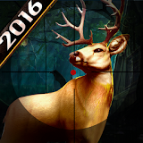 White Tail Deer Hunting 2016 icon