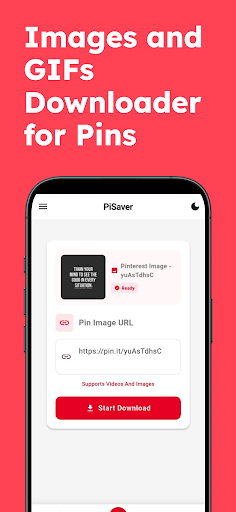 PiSaver - Video Downloader
