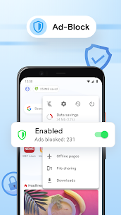 Opera Mini APK v78.0.2254.70313 8
