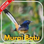 Cover Image of Download Pemikat Burung Murai Batu Offline 1.0.8 APK