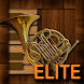 Professional French Horn Elite