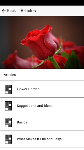 Flower Garden Designs - Free F