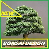 Ide Bonsai Styling Tree Cool icon