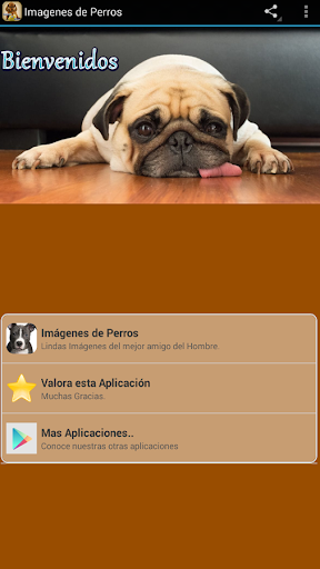 Android application Imagenes de Perros screenshort