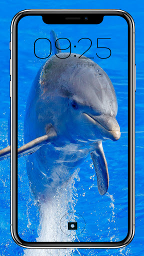Fish Dolphin Wallpapers Screen 2