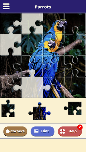 Parrot Love Puzzle