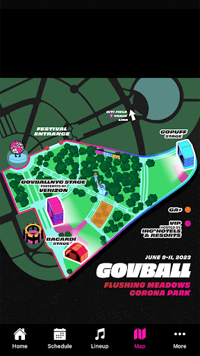 Gov Ball