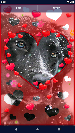 Cute Puppy Live Wallpaper Screen 3