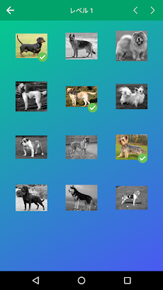犬のクイズ：品種を推測—ゲーム、写真、テストのおすすめ画像3