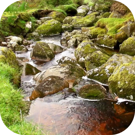 River Video Live Wallpaper logo