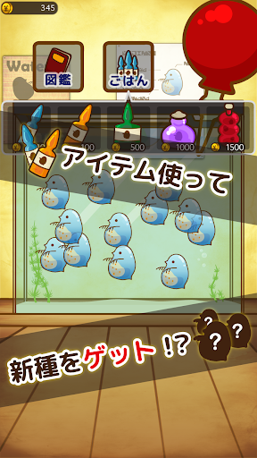 [ミジけん]　ミジンコけんきゅーじょ　〜放置・育成ゲーム〜 Screen 2