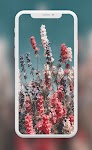 screenshot of Flowers Wallpapers