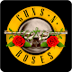 Guns n Roses Music