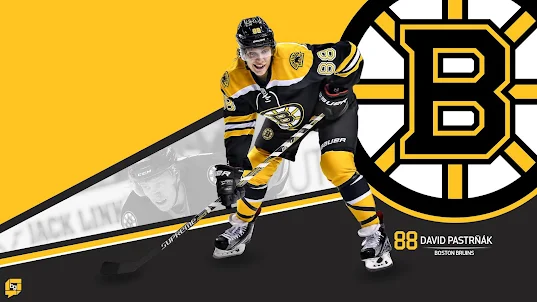 Boston Bruins Wallpapers FANS