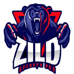 Cover Image of Скачать Zild OpenVPN Pro 10.0.16 APK