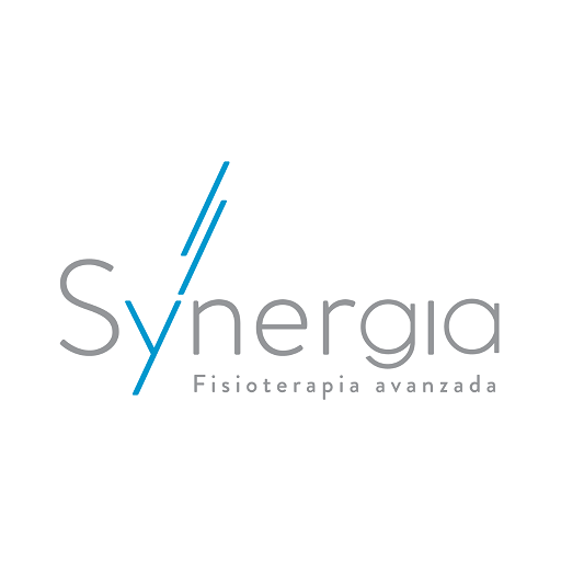 Synergia to go logo