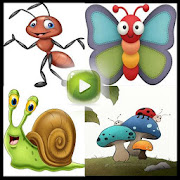 Learning the Names of Insects - For Kids