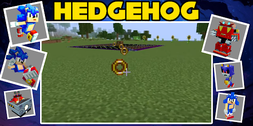 Hedgehog mod Screen 3