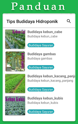 Tips Budidaya Sayur Segar