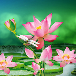 Icon image Lotus Live Wallpaper