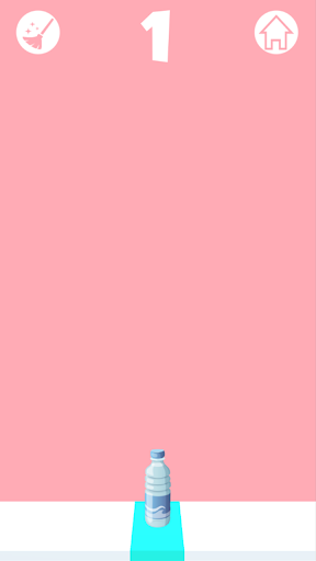 Bottle Flip Challenge