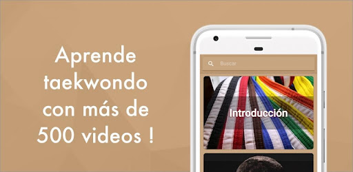 Learn Taekwondo: Video Classes