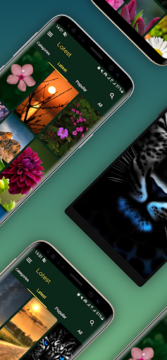 Android application HD Nature Wallpapers screenshort