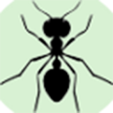 Ant Go Home icon