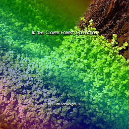 Icon image "In the Clover Forest Collection": Short stories