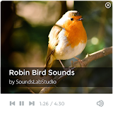 Robin Bird Sounds icon