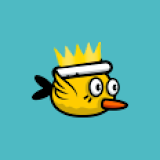 Birdy bird - fun arcade game icon