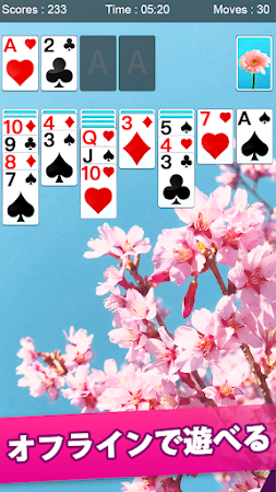 Game screenshot ソリティア - 超定番カードパズル apk download